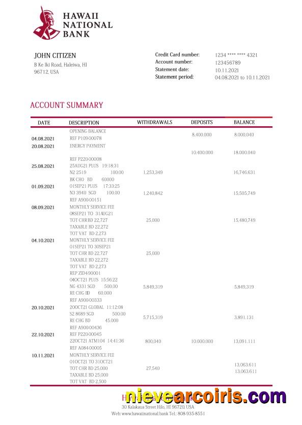 Hawaii National Bank statement, Word and PDF format